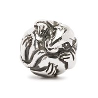 Charm Trollbeads in Argento TAGBE-40020 - TAGBE-40020